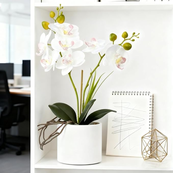 Jusdreen Artificial White Orchid in Ceramic Pot, Realistic Phalaenopsis Arrangement with Potting for Home Office Table Decor, 14.5 Inch Flower Centerpiece