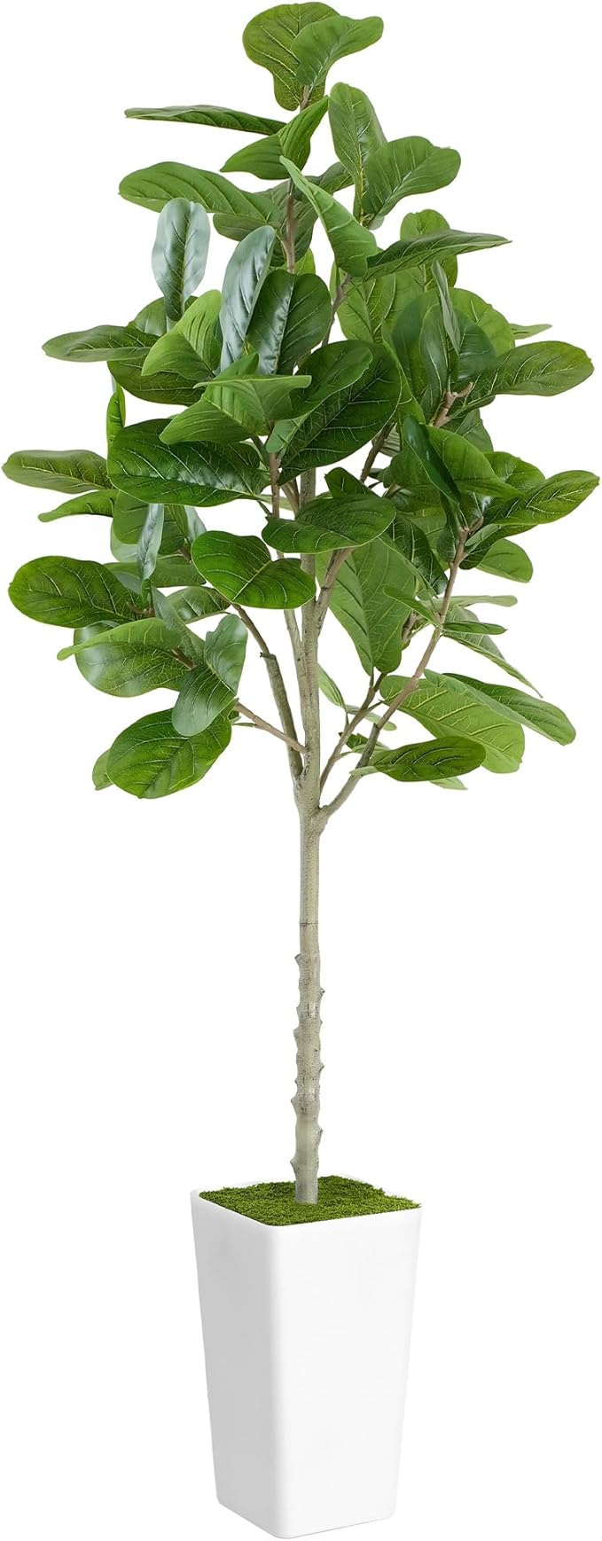 Artificial Fiddle Leaf Fig Tree 6ft - Realistic Tall Fake Plants for Office Home Living Room Bedroom Decor Indoor Outdoor - Green Large Silk Faux Floor Plant with Pot