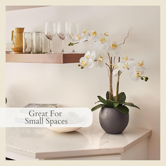 CG Hunter Faux White Orchid Plant, Premium Artificial Indoor Flower Display Stands 25-Inches with Beautiful Sculptural Blooms and Foliage That Lasts Forever, Grey Planter Pot Included