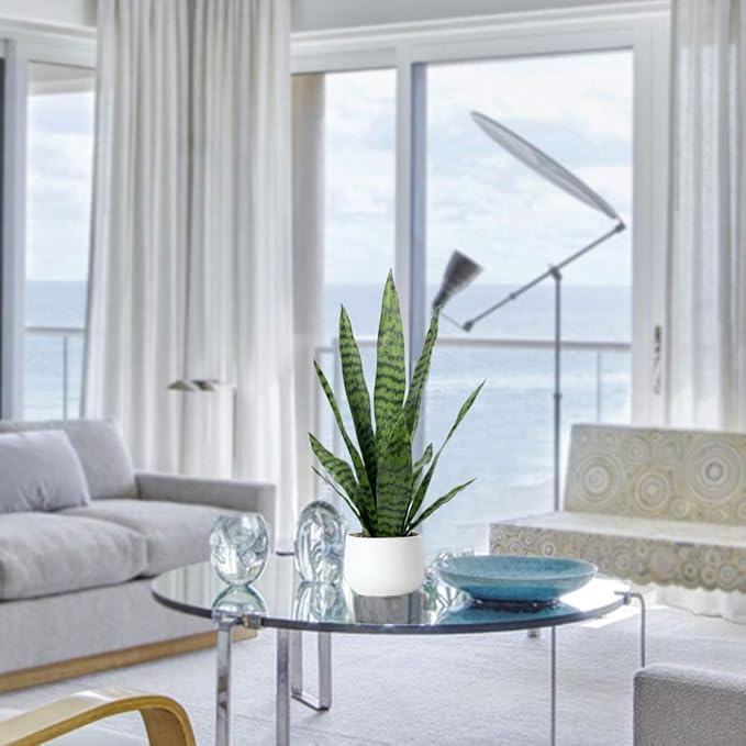 Artificial Snake Plant 22.5" Faux Agave Fake Sansevieria Artificial Potted Plants for Indoor and Outdoor Home Office Décor (White Pot)