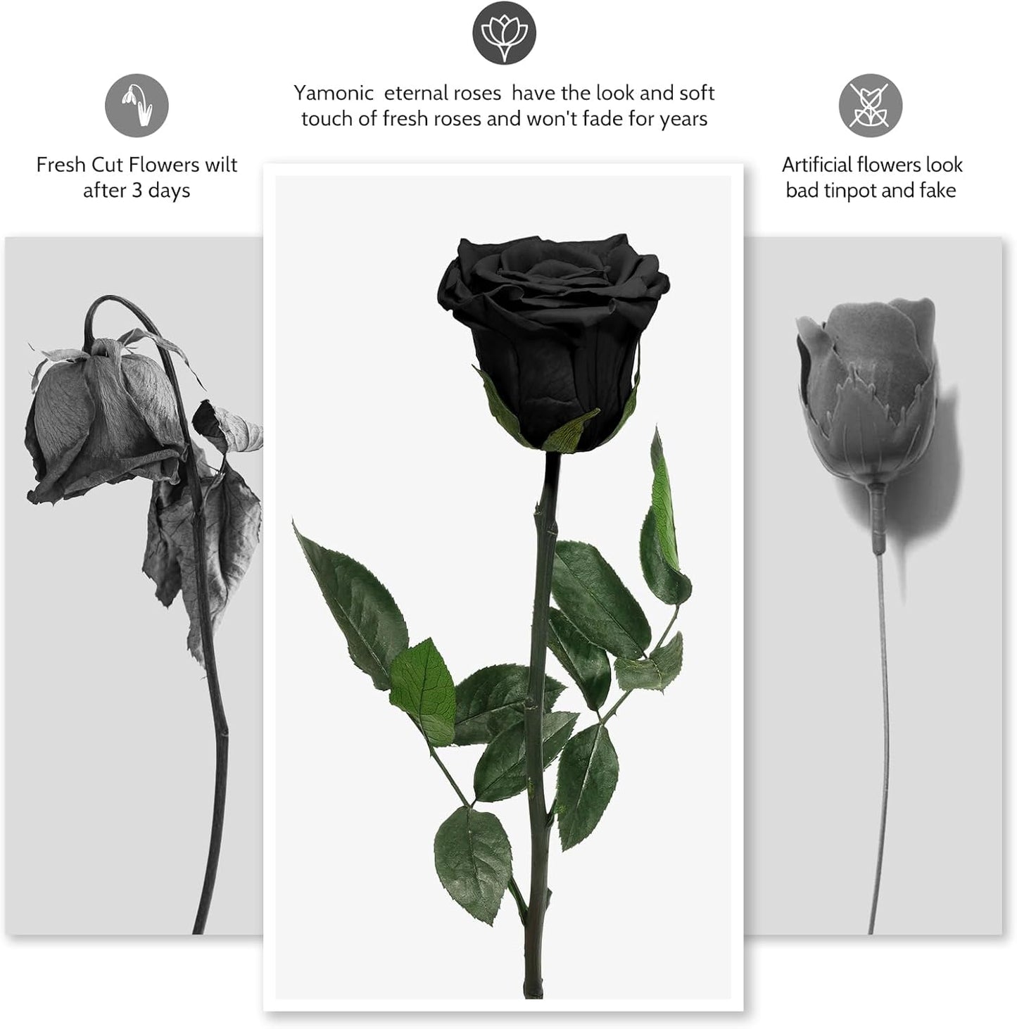 Yamonic Preserved Flowers Rose Gifts for Mom Grandma, Mom Birthday Gifts for Women, Mothers Day Real Flower Rose Gifts for Mom, Her, Wife, Girlfriend Gifts on Christmas,Valentine's Day, Anniversary