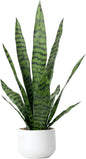 Artificial Snake Plant 22.5" Faux Agave Fake Sansevieria Artificial Potted Plants for Indoor and Outdoor Home Office Décor (White Pot)