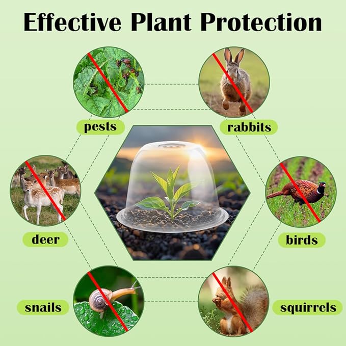 Plant Protectors from Animals 5-Pack, 10" D × 6.7" H Garden Cloches for Seedlings Nursery Pots, Clear Plant Covers, Mini Greenhouse for Plants, Durable Humidity Domes with Ventilation Holes