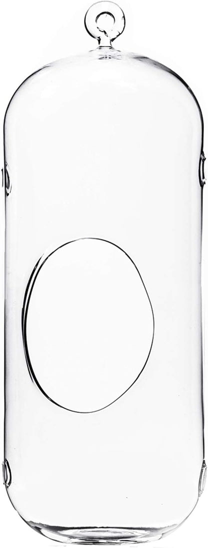 WGV Hanging Glass Plant Terrarium, Width 5", Height 13", Lantern DIY Air Succulent Planter Clear Tea Light Votive Candle Holder, Wedding Event Office Home Outdoor Decor, 1 Piece