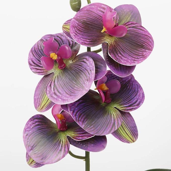 Fake Orchids Artificial Flowers, Reptile Terrarium Decor Plants, Bearded Dragon Tank Accessories fit Crested Gecko Leopard Lizard Chameleon Ball Python Snake Frog (Radiant)