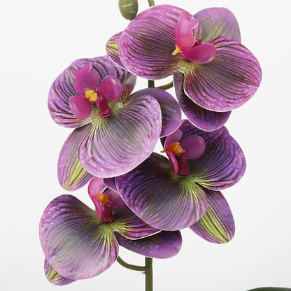 Fake Orchids Artificial Flowers, Reptile Terrarium Decor Plants, Bearded Dragon Tank Accessories fit Crested Gecko Leopard Lizard Chameleon Ball Python Snake Frog (Radiant)