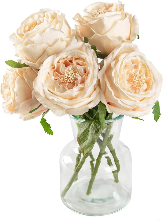 DuHouse 5Pcs Silk Roses Fake Champagne Roses with Stems Real Touch Rose Artificial Flowers for Arrangement Wedding Party Home Decoration