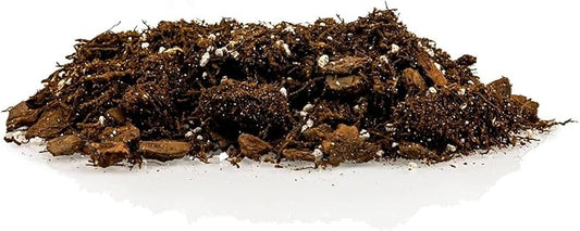 Premium Gardenera House Plant Potting Mix - 10 Quart - Fern + New Zealand Bark + Perlite | Great for Pothos, Spider Plants, Montsera, Philodendron, English Ivy (2 Bags of 5 Quart)