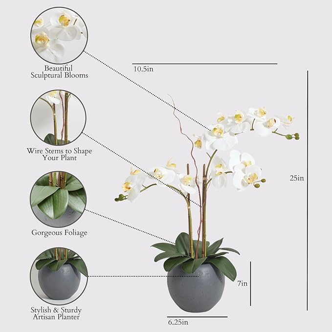 CG Hunter Faux White Orchid Plant, Premium Artificial Indoor Flower Display Stands 25-Inches with Beautiful Sculptural Blooms and Foliage That Lasts Forever, Grey Planter Pot Included