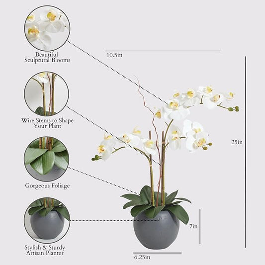 CG Hunter Faux White Orchid Plant, Premium Artificial Indoor Flower Display Stands 25-Inches with Beautiful Sculptural Blooms and Foliage That Lasts Forever, Grey Planter Pot Included