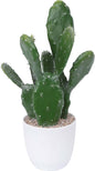 14Inch Artificial Cactus Faux Cacti Fake Cactus Saguaro Potted Plants for Indoor Outdoor Home Offices Store Decoration