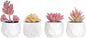 Tiita Artificial Faux Succulents in Pots, Pink Fake Plants Ceramic Arrangement Planter for Women Desk Small Mini Tiny Decoration for Home Office Desk Window 4 Set, Pink