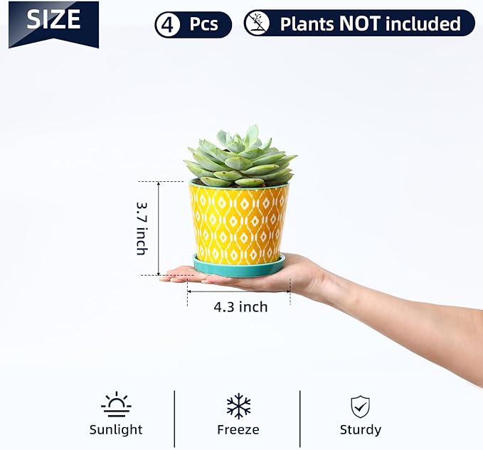 Selamica Ceramic Succulent Pots, 4.3 Inch Small Plant Pots with Drainage Holes and Saucers, Small Flower Pots for Succulent, Cactus, Home Decor, Set of 4, Assorted Colors