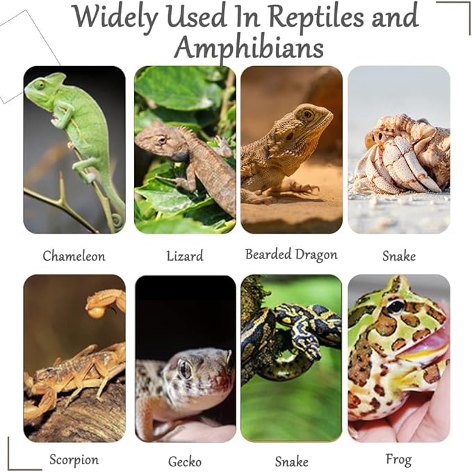 Hamiledyi Reptile Plants Bendable Jungle Climbing Vine Terrarium Branch Flexible Plastic Leaves Hanging Pet Habitat Decoration for Bearded Dragon Lizard Gecko Frog Snake Tank Accessories Decor