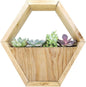 Live Succulent Plants in 10" Hexagon Wood Planter - Fully Rooted Live Indoor Succulents in Modern Decoration Planters, Great Gift for Birthday, Housewarming, Anniversary