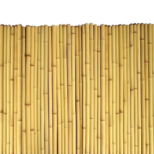 Bamboo Fence Rolls 6 Feet High, 6 ft High x 8 ft Long x 0.75 in D