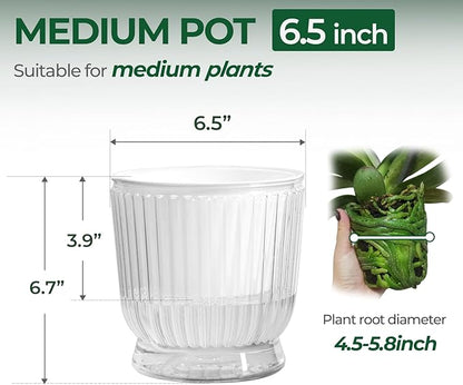 T4U 6 Inch Self Watering Pots for Indoor Plants, 4 Pack Self Watering Planter, Self Watering Pot with Reservoir, Clear Self Watering Pots for Indoor Plants, African Violets (4 Pack, 6", Clear)