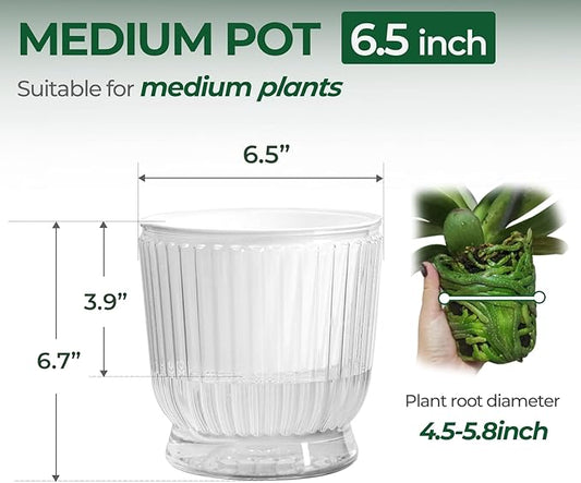 T4U 6 Inch Self Watering Pots for Indoor Plants, 4 Pack Self Watering Planter, Self Watering Pot with Reservoir, Clear Self Watering Pots for Indoor Plants, African Violets (4 Pack, 6", Clear)