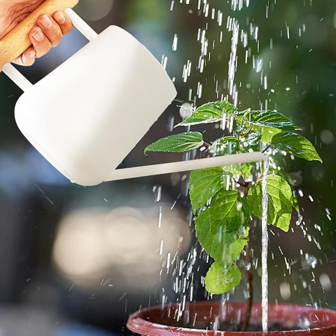 Watering Can Indoor Plants, 30oz/900ml Small Plant Watering Can with Long Spout, Stainless Steel Garden Watering Cans Outdoor Watering Pot for Indoor House Plants Bonsai Flower Decorative