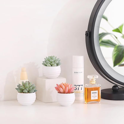 Tiita Artificial Faux Succulents in Pots Fake Plants Ceramic Arrangement Planter for Women Desk Small Mini Tiny Decoration for Home Office Desk Window