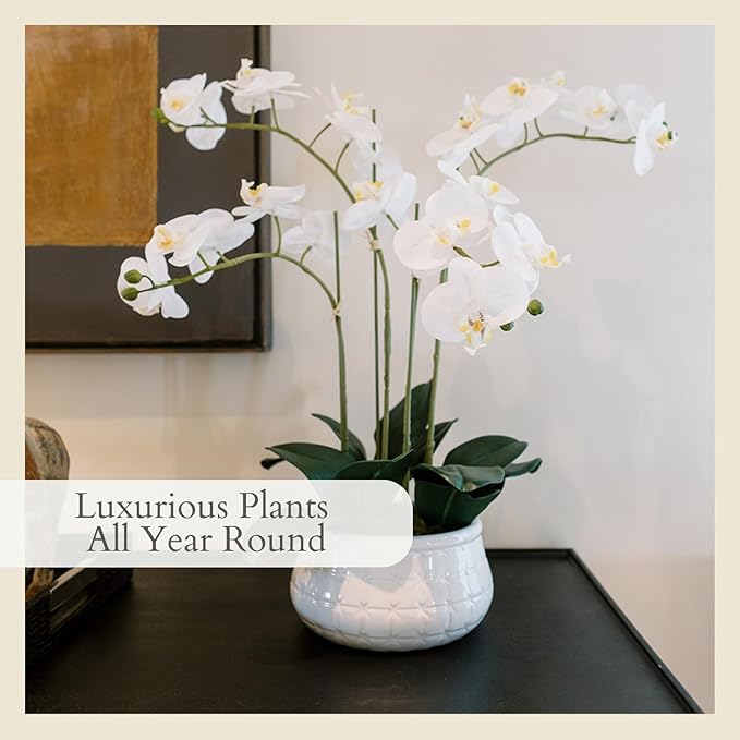 CG Hunter Faux White Orchid Plant, Premium Artificial Indoor Flower Display Stands 23”, Beautiful Sculptural Blooms That Lasts Forever, White Planter Pot Included