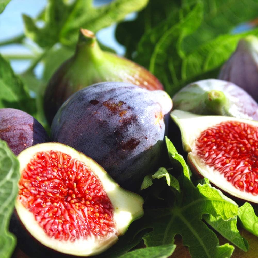 Black Mission 2 Pack