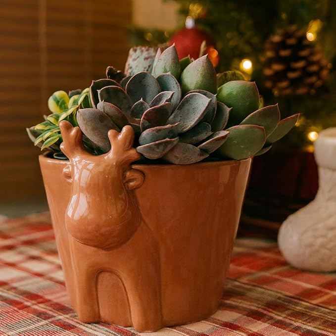 Live Succulents Plant in 6" Mocha Reindeer Head Ceramic Pot, Holiday Gifts Ideas 2025, Gift for Plant Lover, Xmas Decoration Items