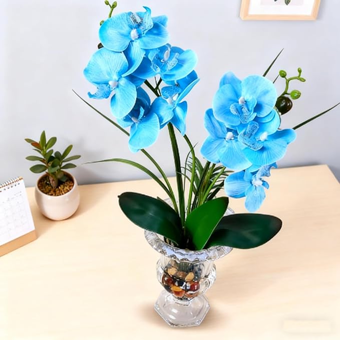 Jusdreen Artificial Blue Orchid in Glass Vase, Realistic Phalaenopsis Arrangement with Potting for Home Office Table Decor, 14.5 Inch Orchid Centerpiece