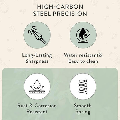 Modern Sprout Pruning Shears - Herb Snipping Scissors- Lightweight Gardening Tools W/Easy Lock - Flower Cutter Garden Shears - Carbon Steel Blade + Reusable Holster (Sage, 1-Pack)