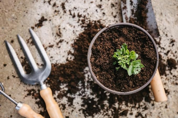 GARDENERA Premium Celery Potting Soil Mix - Optimal Nutrient-Rich Blend for Thriving and Crisp Celery Plants - 20 Quart