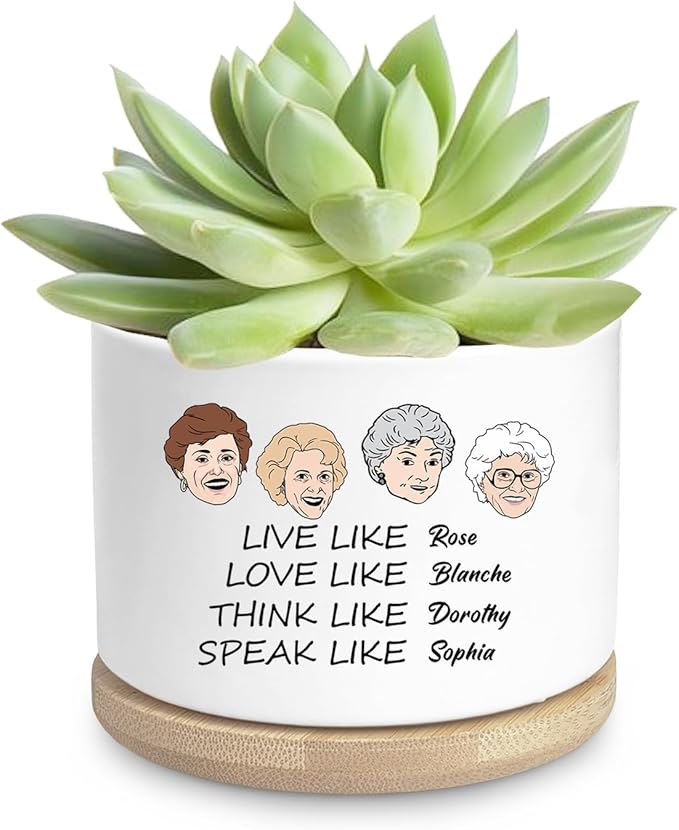 Friend Gifts for Women, Funny Succulent Planter, Flower Cactus Plant Pot, Golden Gilrs Merchandise, Friendship Gifts for Best Friends Bestie Sister Birthday Present (Plant Not Included)