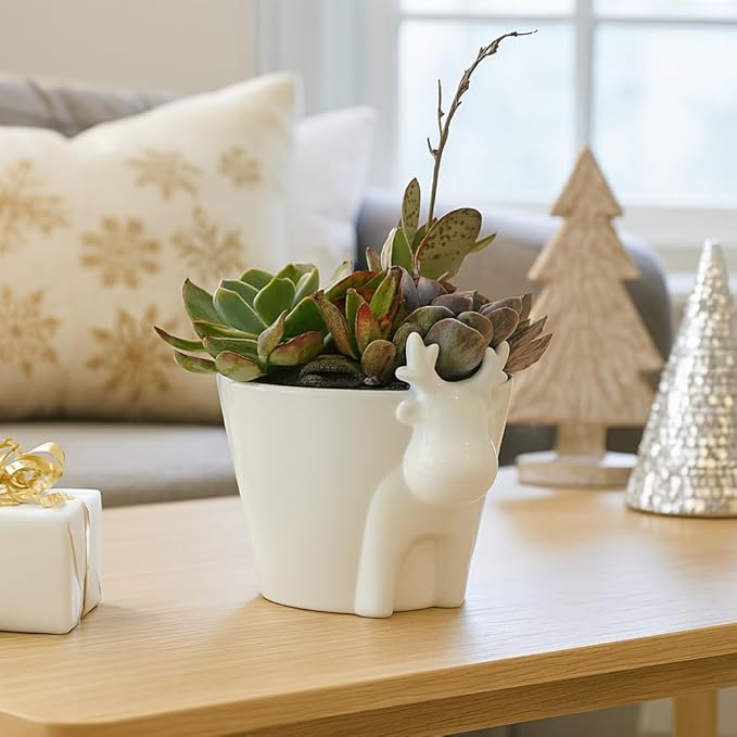 Live Succulents Plant in 6" White Reindeer Head Ceramic Pot Ideas 2025, for Plant Lover, Gifts for Wife, Mom, Grandmother