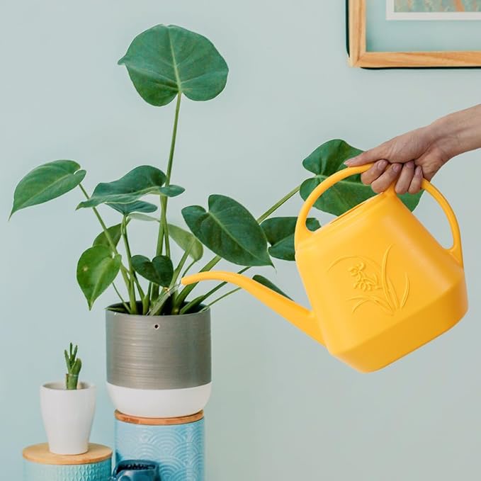 Plant Watering Can - 1 Gallon - Orange