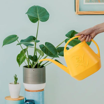 Plant Watering Can - 1 Gallon - Orange