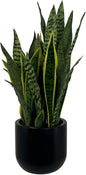 CG Hunter Faux Snake Plant, Premium Artificial Indoor Plant Stands 30” Tall and Enhances Interior Design, Lifelike-Leaves Create Realistic Natural Appearance, Black Planter Pot Included