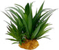 Smoothedo-Pets Reptile Artificial Plants Succulent Terrarium Decorative Desert Rainforest Plant Lizard Beard Chameleon Gecko Snake Amphibious Sea Turtle Tank Accessory (Agave-Set)
