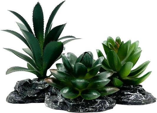 Smoothedo-Pets Reptile Artificial Plants Succulent Terrarium Decor Desert Rainforest Plant Lizard Beard Chameleon Gecko Snake Amphibious Sea Turtle Tank Accessory (Dark-Green-3pcs-Se)