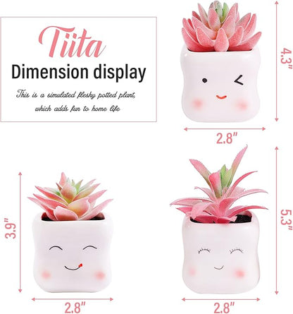 Tiita Cute Artificial Faux Succulents in Pots, Pink Fake Plants Ceramic Arrangement Planter Small Mini Tiny Decoration for Home Office Accessories Women Desk Window Sill Bathroom Bedroom