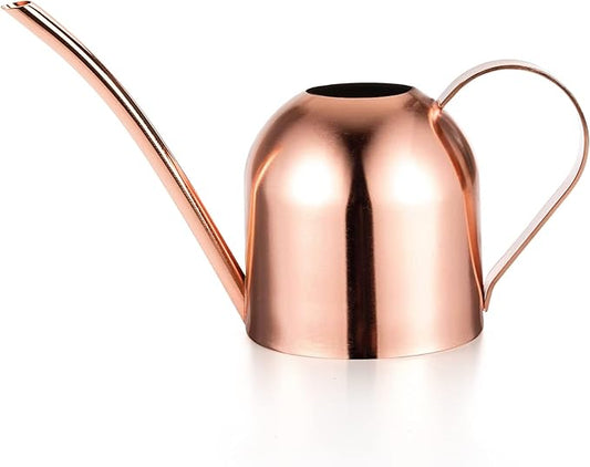 Fasmov Stainless Steel Watering Can, Small Modern Style Watering Pot, 15oz/450ml Plant Watering Can with Long Spout to Prevent Spillage, Perfect for Outdoor and Indoor Plants (Copper)