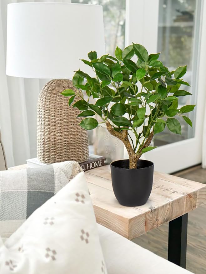 Artificial Tree, 17'' Ficus Bonsai, Premium Faux Planted Potted Decor for Home Table Office Desk Bathroom Bedroom Living Room Farmhouse