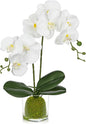 White Orchids Artificial Flowers 16.1" Faux Orchids Plant in Pot Fake Flower Arrangements with Glass Vases Small White Centerpieces for Kitchen Dining Room Tables Bathroom Nightstand Shelf Desk Decor