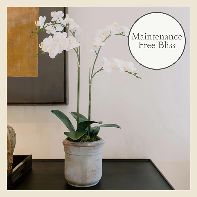 CG Hunter Faux White Orchid Plant, Premium Artificial Indoor Flower Display Stands 24”, Beautiful Sculptural Blooms That Lasts Forever, Grey Planter Pot Included