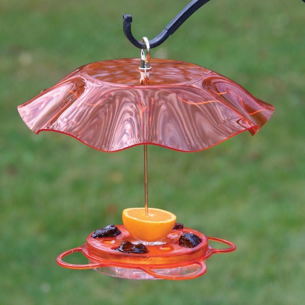 Birds Choice Oriolefest Oriole Bird Feeder with Protective Weatherguard | Hanging Bird Feeder for Jelly, Oranges & Nectar | 4 Feeding Ports & Trays with Ant Moat & Bee Guards | 12 oz, Orange