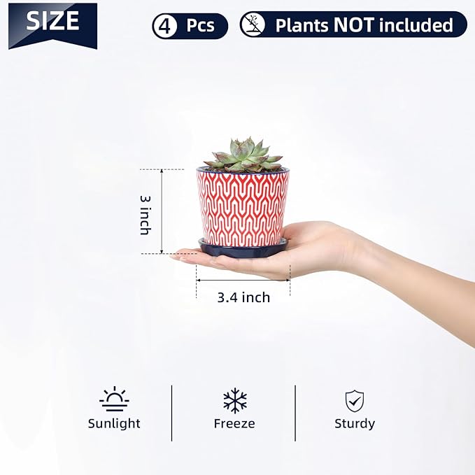 Selamica Ceramic Succulent Pots, 3.4 Inch Small Pots for Plants with Drainage Holes and Saucers, Succulent Planters for Indoor Plants, Cactus, Home Decor, Set of 4, Assorted Colors