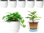 T4U 4.5 Inch Plant Pots Self Watering, 6 Pack African Violet Pots, Small Plant Pots for Plants, Small Indoor Plant Pot, Self Watering Planter for African Violet, Succulents (6 Pack 4.5" Pots, White)