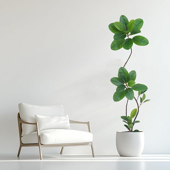 Artificial Rubber Tree Plant, 6ft Tall, Black with Round Planter, All Season Home Decor (Green,6ft)