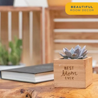 Costa Farms Echeveria, Mini Succulent Plant in Best Mom Ever Wood Decor Planter, Live Indoor Houseplant in Cute Cactus Decor, Housewarming, Birthday Gift