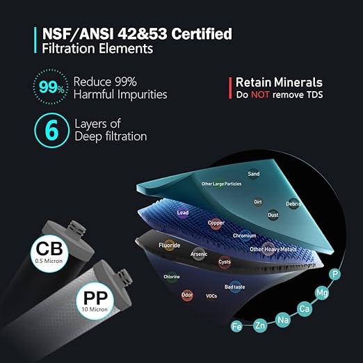 Frizzlife DW10 Under Sink Water Filter System, NSF/ANSI 53&42 Certified Elements, Reduces 99.99% Lead, Chlorine, Fluoride, Bad Taste & Odor, Direct Connect 2-Stage Water Filter, 0.5 Micron, USA Tech