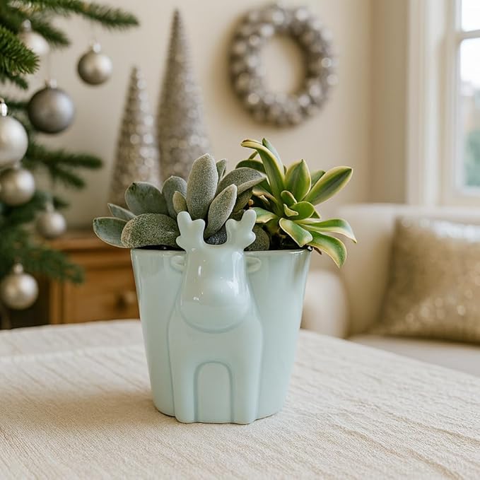 Live Succulents Plant in 4" Mint Reindeer Head Ceramic Pot Ideas 2025, for Plant Lover, Gifts for Dad, Boyfriend, Grandfather