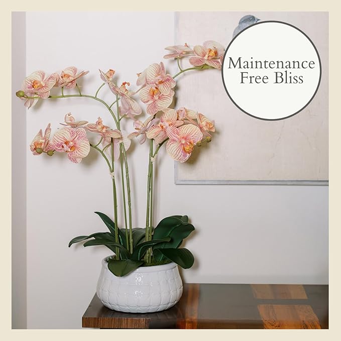 CG Hunter Faux Orange Orchid Plant, Premium Artificial Indoor Flower Display Stands 23”, Beautiful Sculptural Blooms That Lasts Forever, White Planter Pot Included